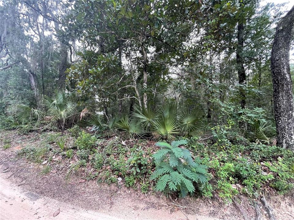 En Venta: $19,900 (0.23 acres)