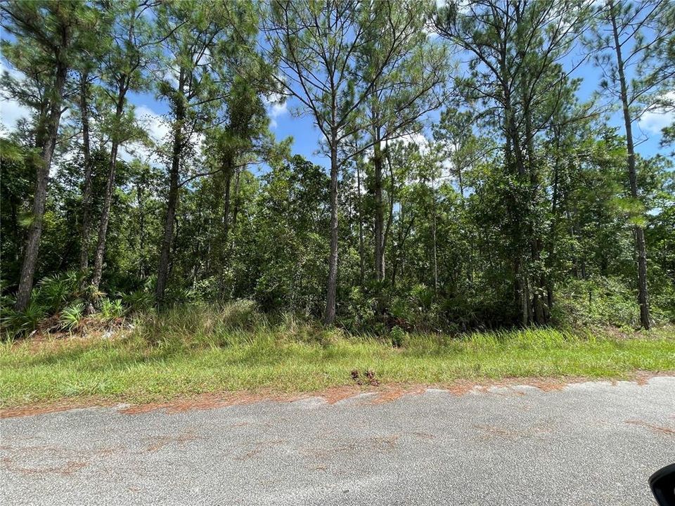 En Venta: $14,000 (0.29 acres)