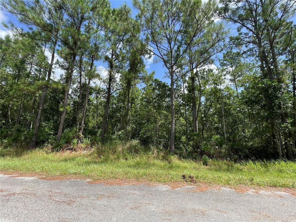 En Venta: $14,000 (0.29 acres)