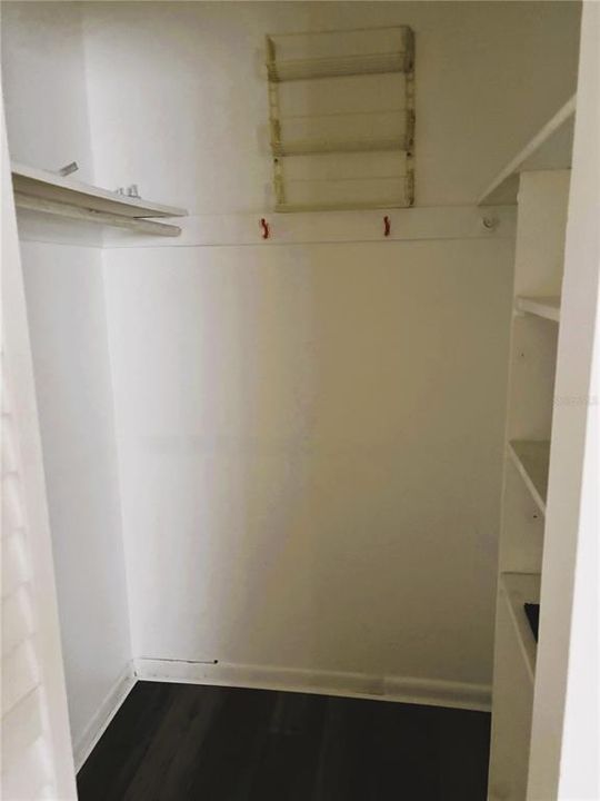 Walk-in closet in second bedroom