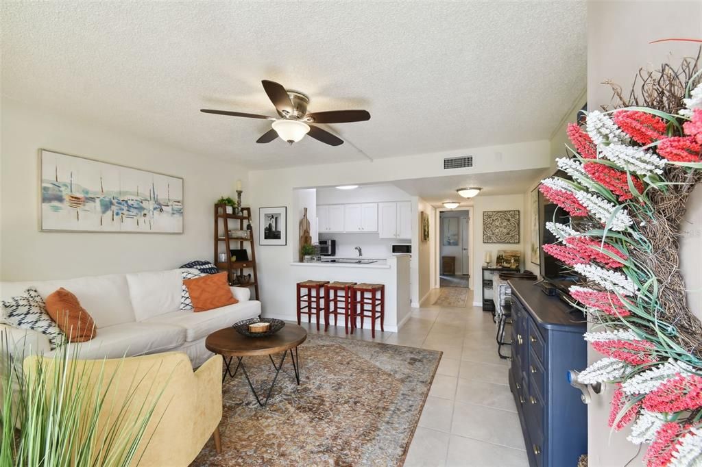 Entryway and Living Room