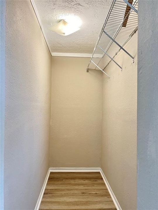 Primary Bedroom Walk-In Closet