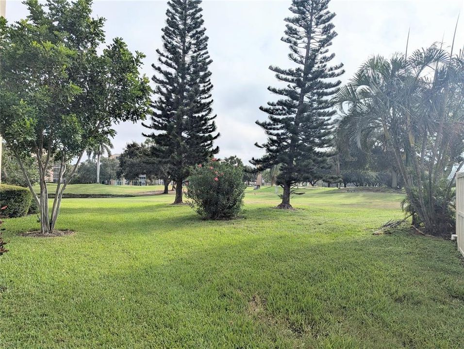 The view from the glass enclosed lanai is excellent, the view is of the golf course.