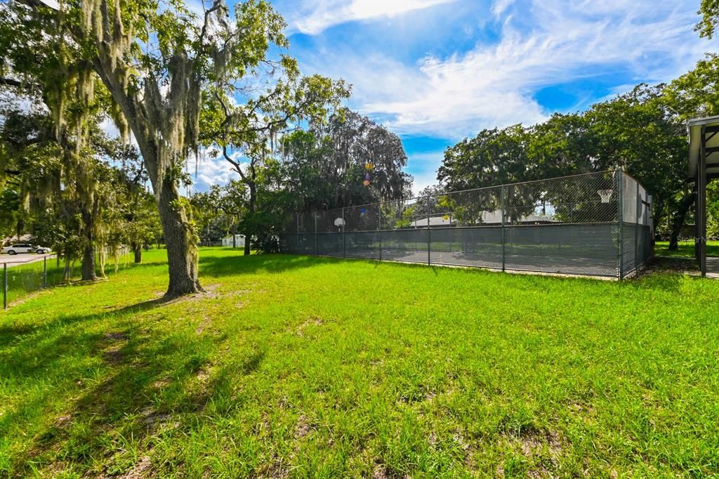 Court side yard