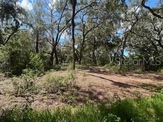 En Venta: $29,000 (1.10 acres)