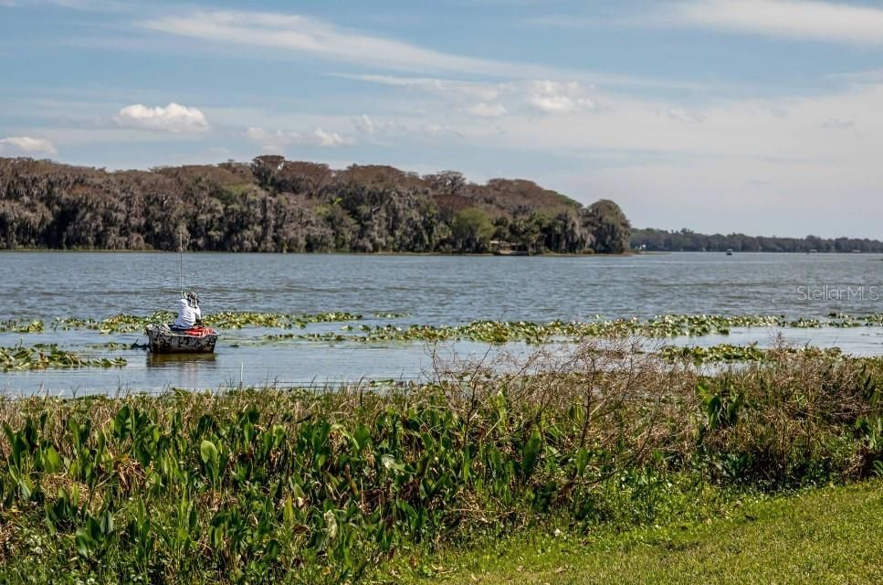 Near the Chain of Harris Lakes Kayaking, fishing, boating and much more