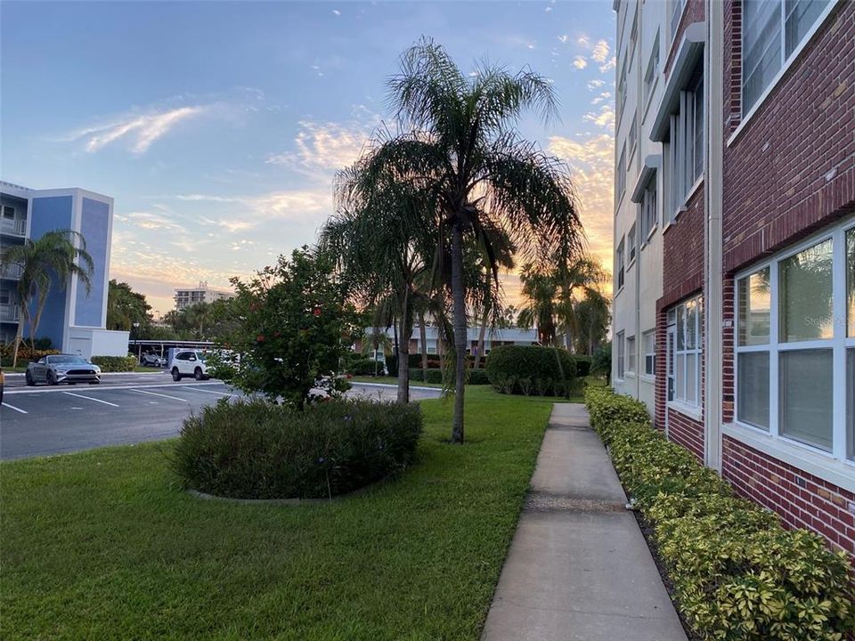 Out the Back door to see the Sky. Sunset on the beach past the 2 Gym, BBQ area Clubhouses and the 2nd pool, all shared with your 5555 neighbors etc.