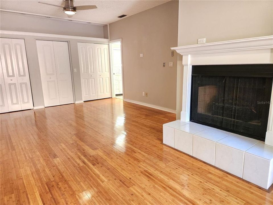 Fireplace in Master Bedroom