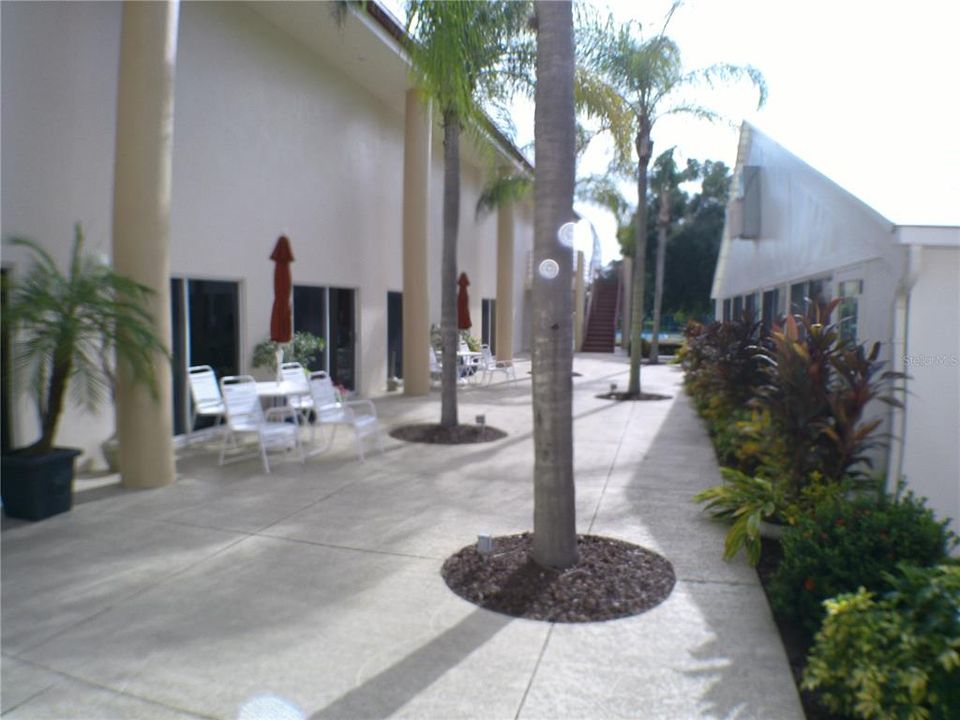 Court Yard