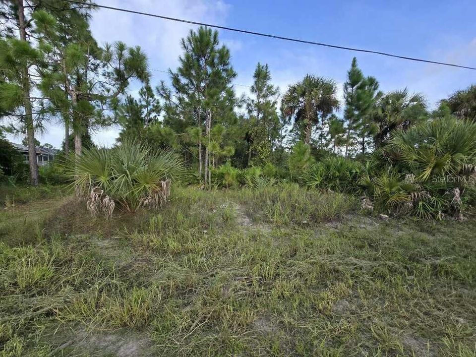 Active With Contract: $37,000 (0.50 acres)