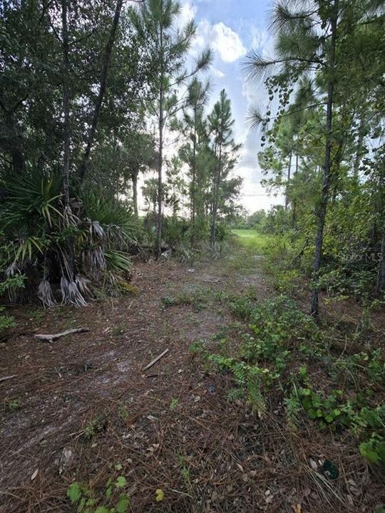 Active With Contract: $37,000 (0.50 acres)