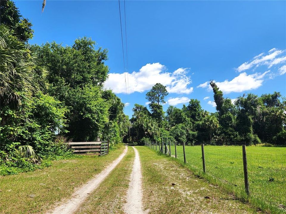 Driveway to Home