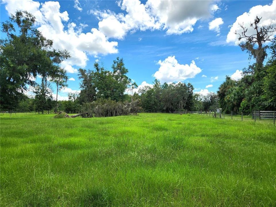 Fenced Pasture Area