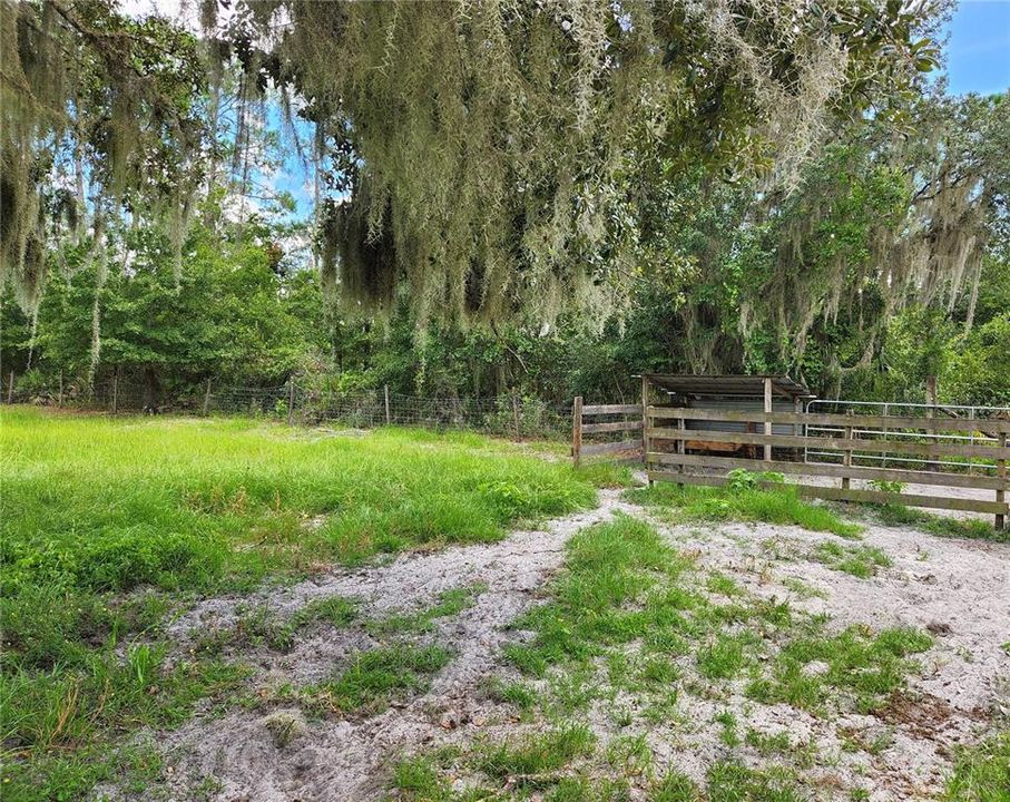 Livestock Feeding Area