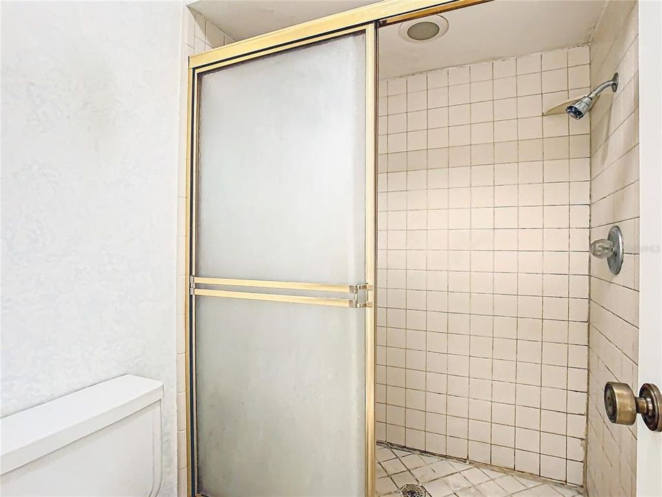 The shower in the primary bathroom.