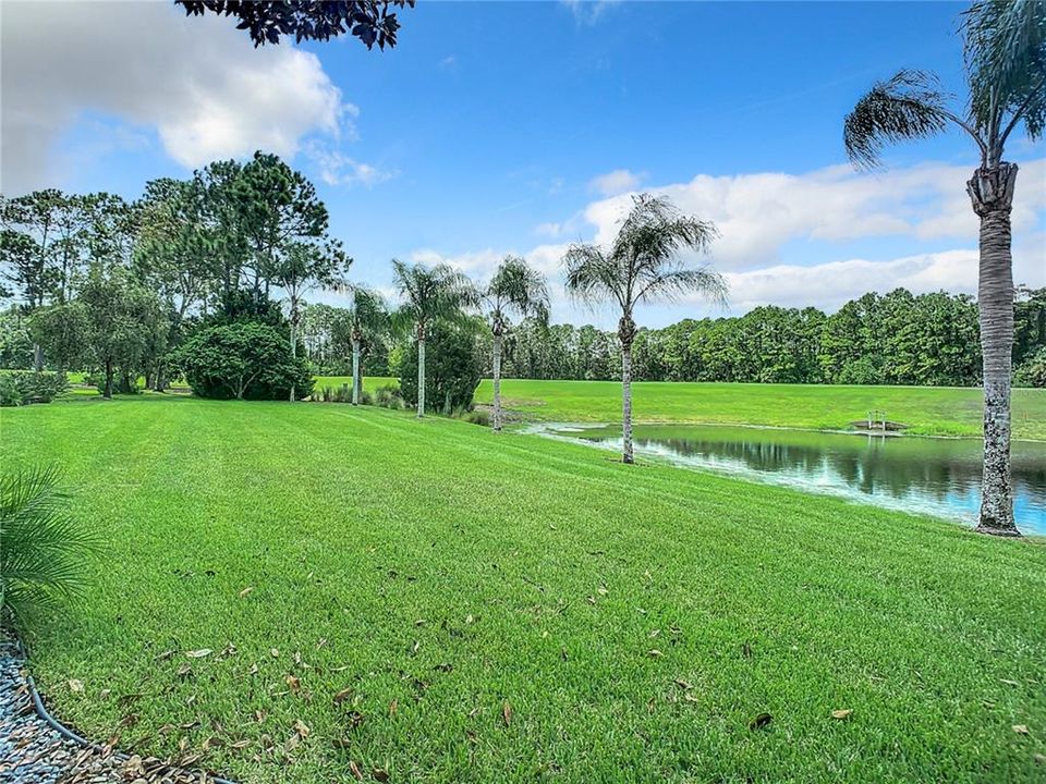 Rear Yard/Pond