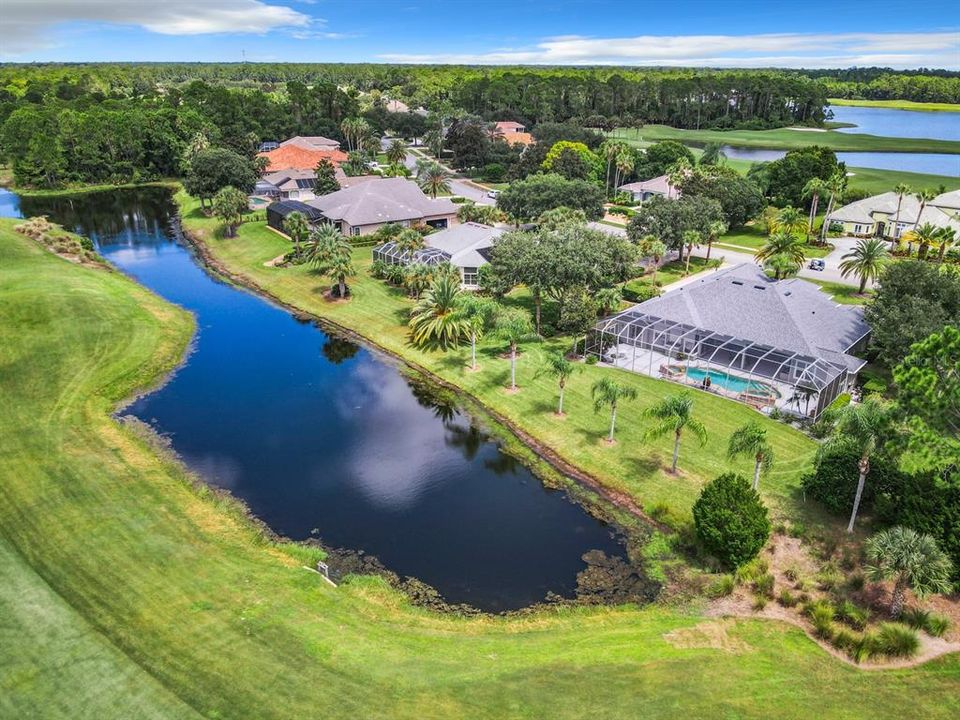 Rear Pond/Golf Course Aerial