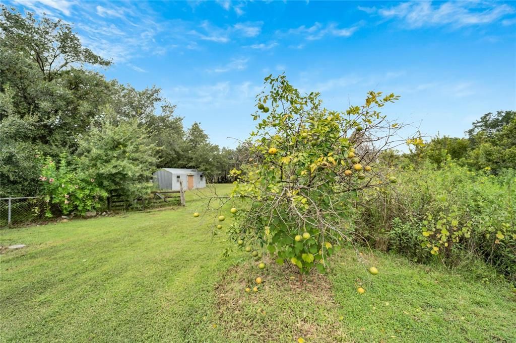 For Sale: $535,000 (3 beds, 2 baths, 1892 Square Feet)