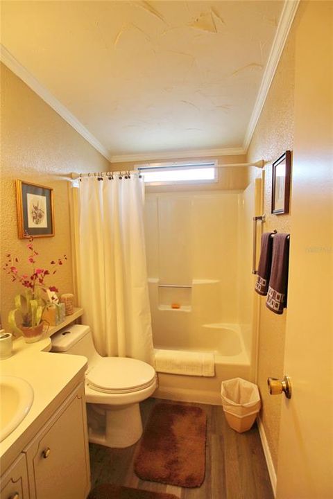 Main Bathroom