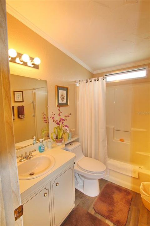 Main Bathroom