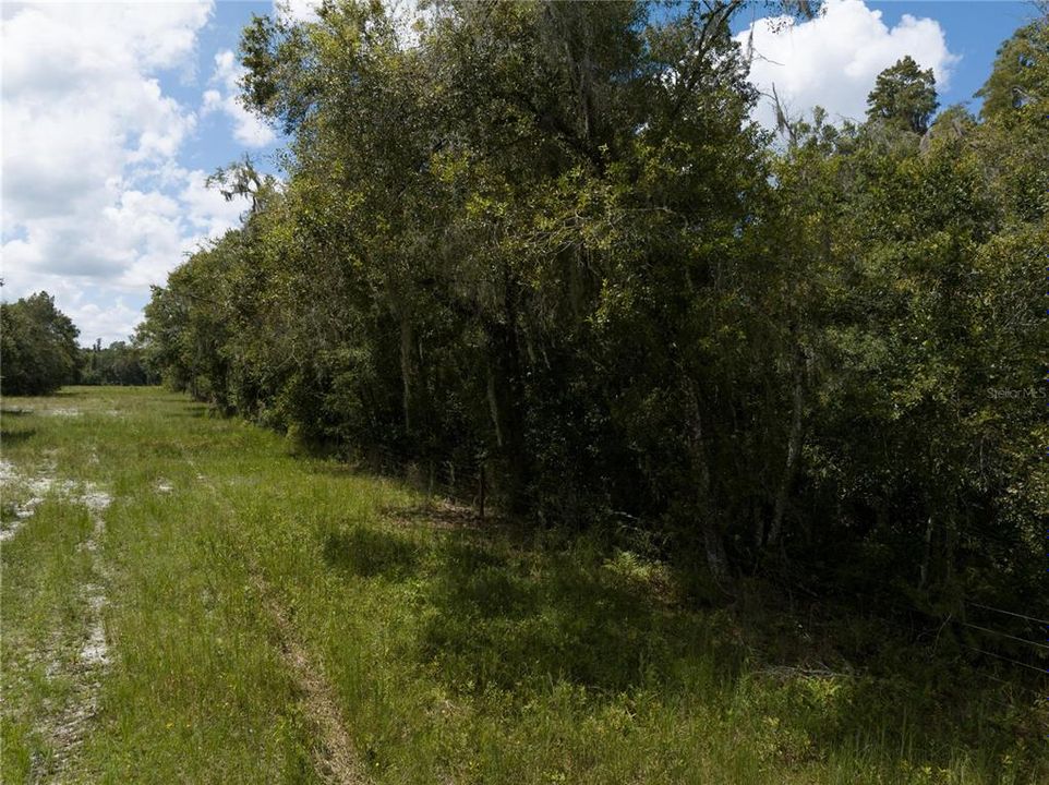 For Sale: $197,997 (1.00 acres)