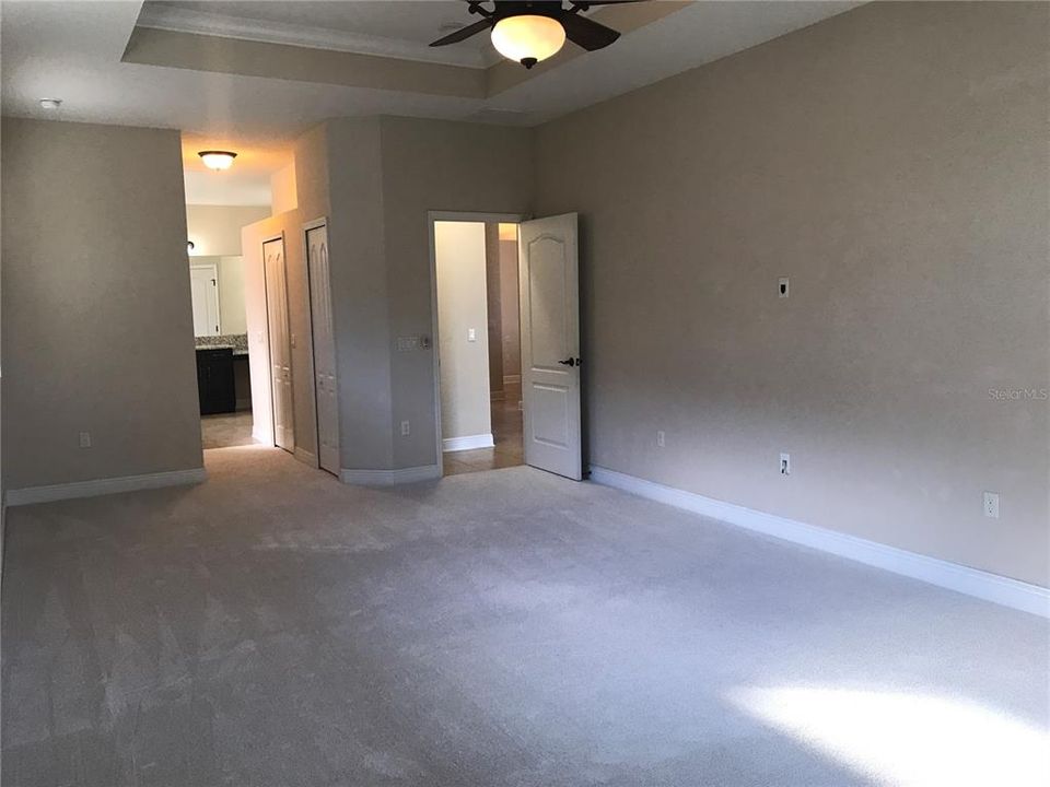 OWNER SUITE with Crown Molding Tray Ceiling - Double Walk In Closets as well as a Linen Closet leading to MASTER BATH