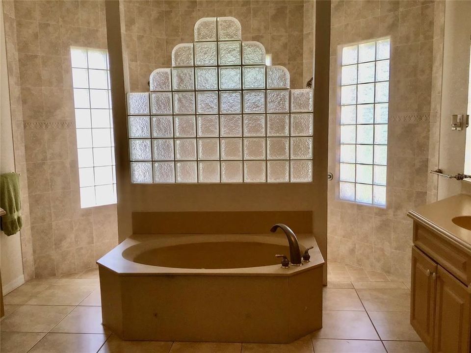 Garden Tub w/Walk-in Shower