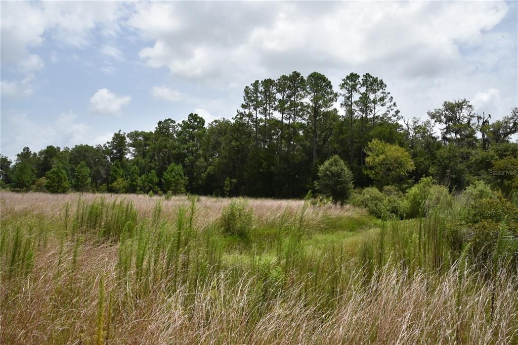 На продажу: $59,900 (5.60 acres)