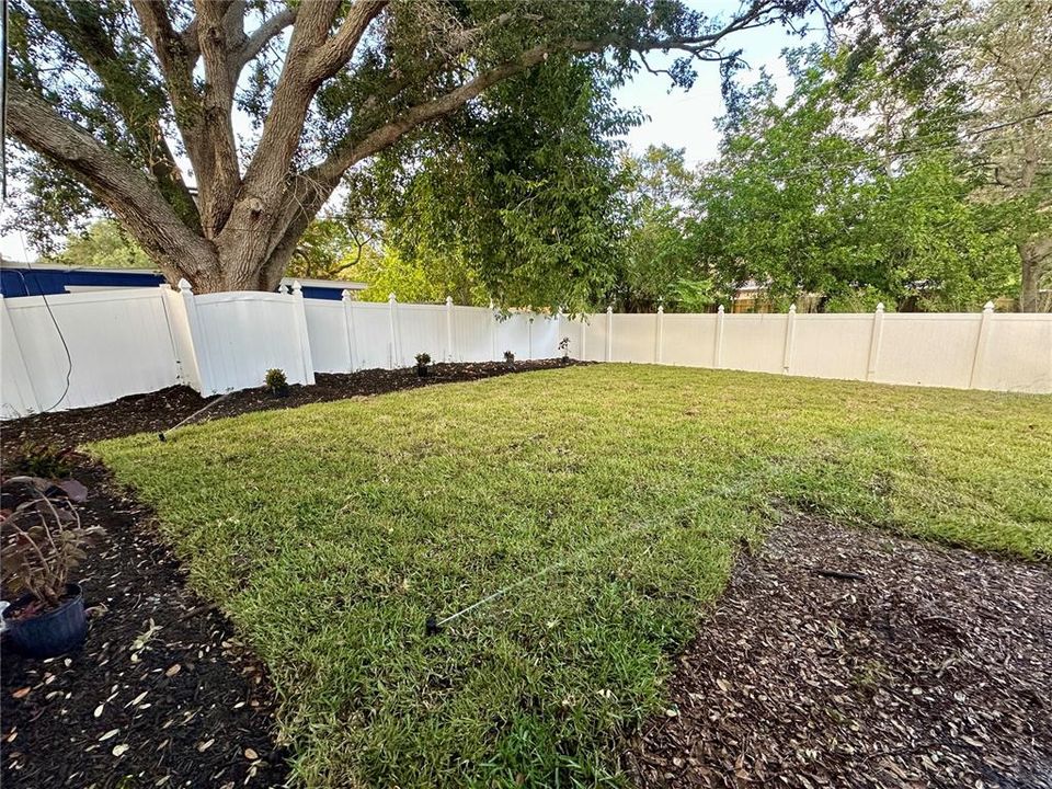 fenced in back yard