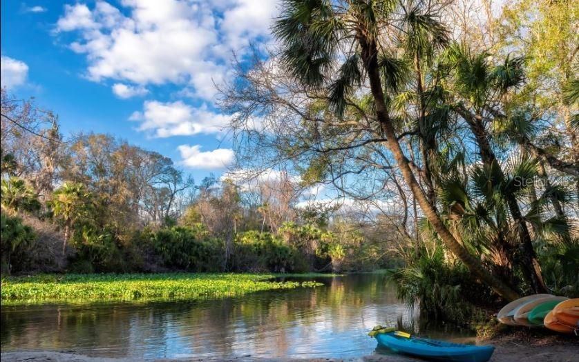 Wekiwa springs continued.