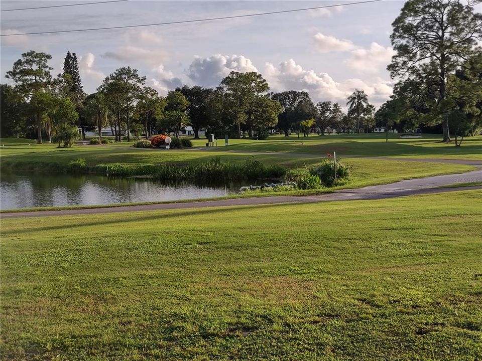 If you can't make it to the Florida beaches...you'll find plenty of sand, sun and water on the Mainlands Golf Course.