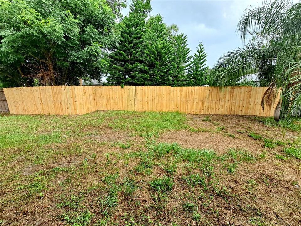 Fenced Yard