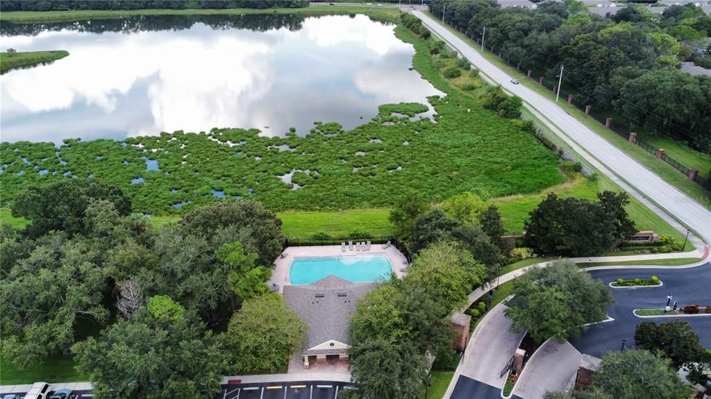 Valhalla drone picture over pool