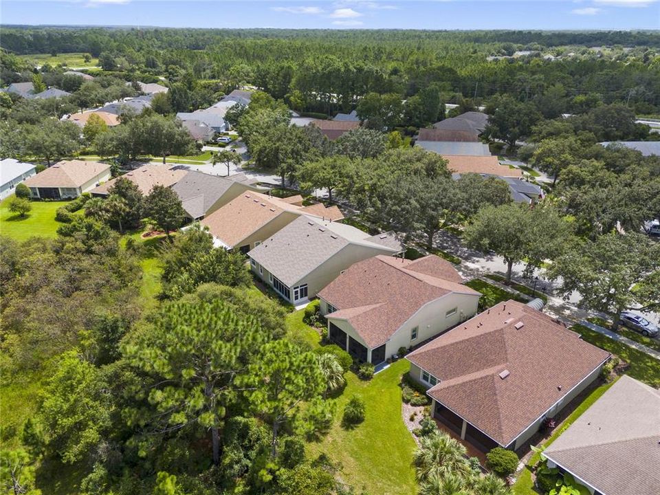 Aerial view of the surrounding neighborhood & conservation area