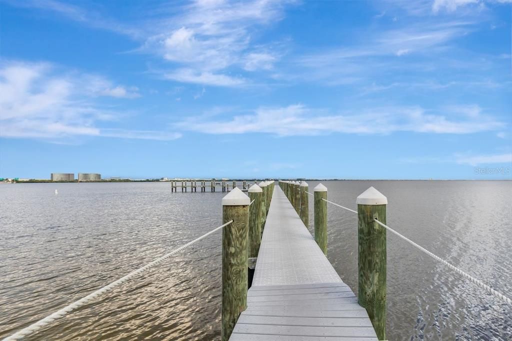 Private dock with kayak/canoe launch overlooking beautiful Tampa Bay