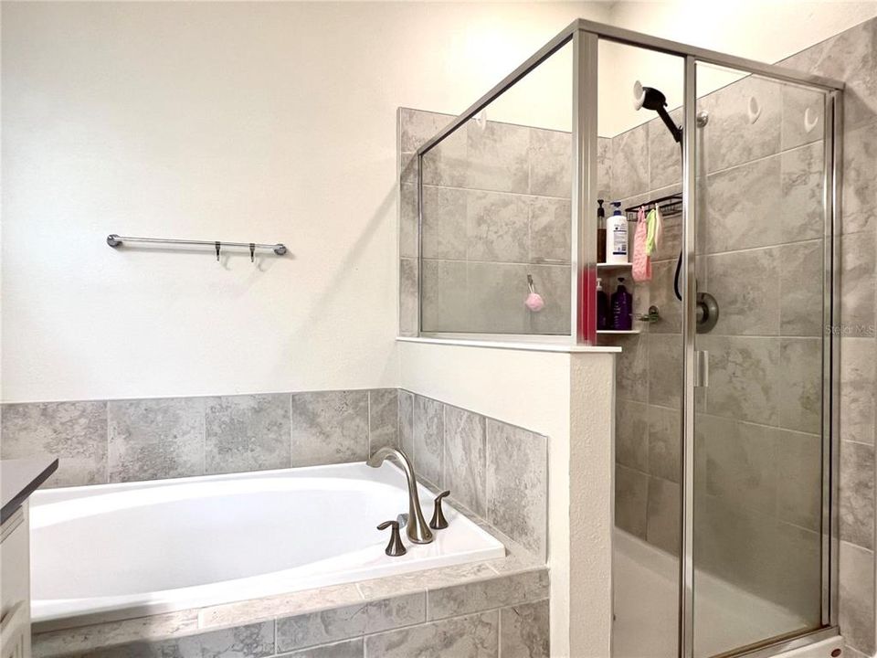 Separate Tub and Shower