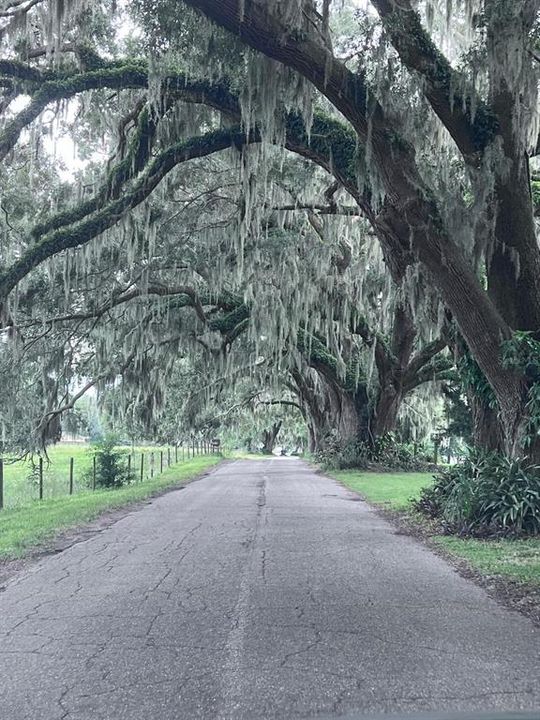 ENTRANCE ROAD