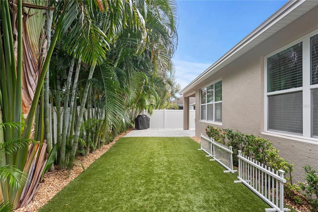 Backyard privacy with turf