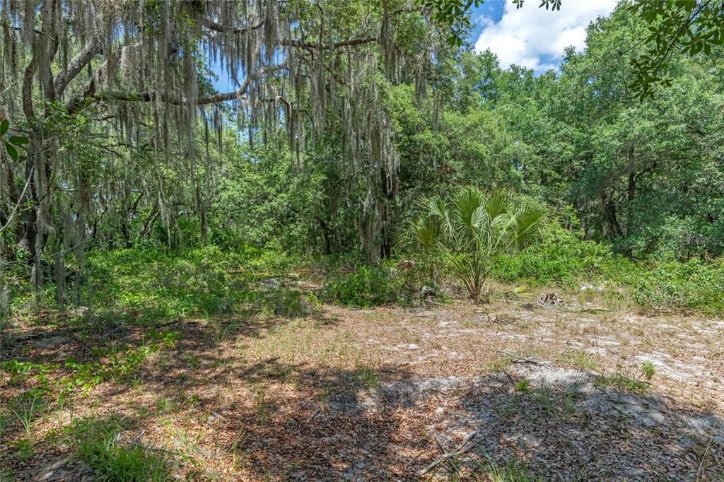 For Sale: $550,000 (2.27 acres)