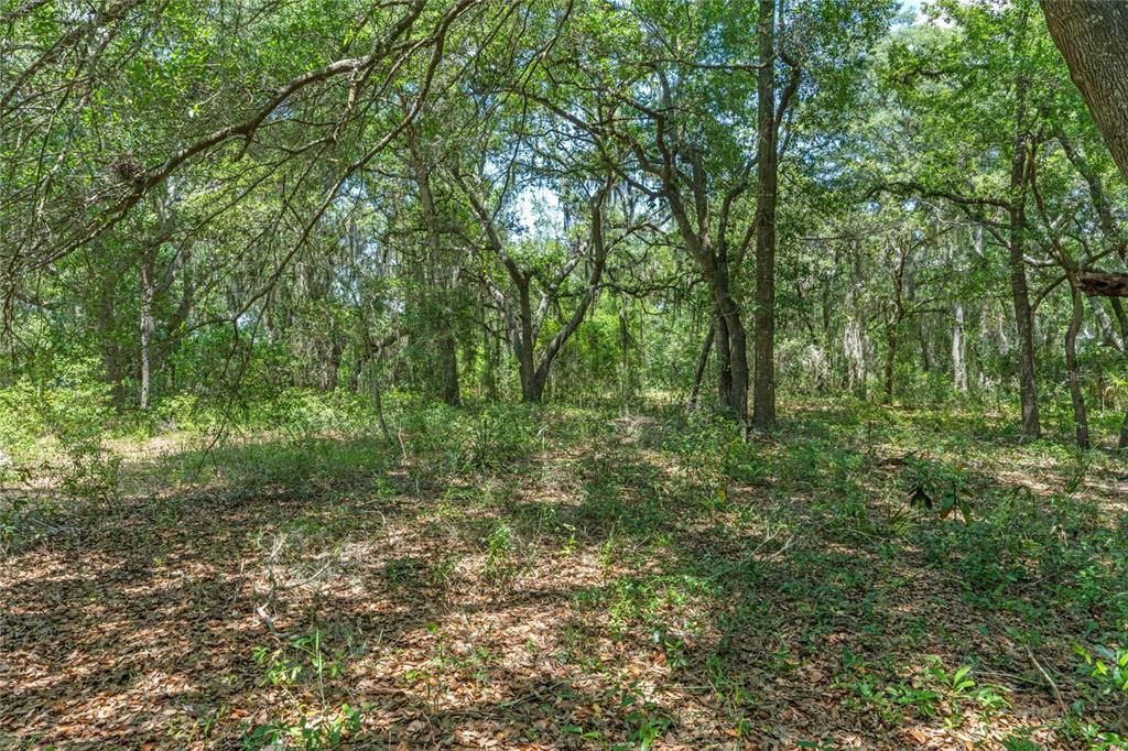 На продажу: $550,000 (2.27 acres)