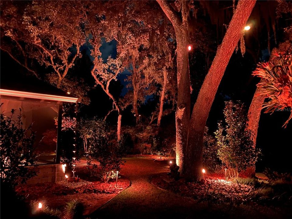 Outside backyard with Halloween lighting