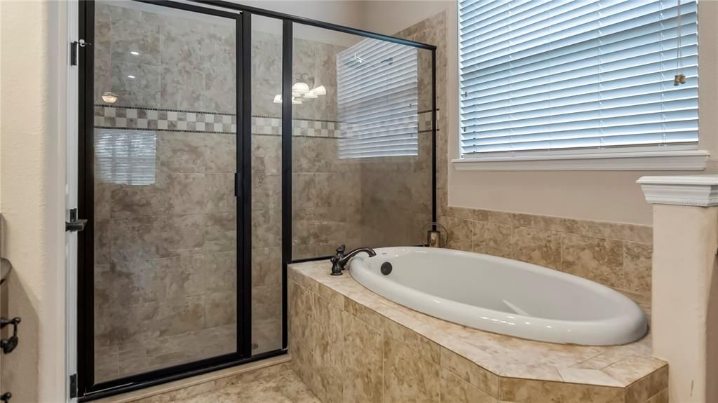 Master Shower & Garden Tub