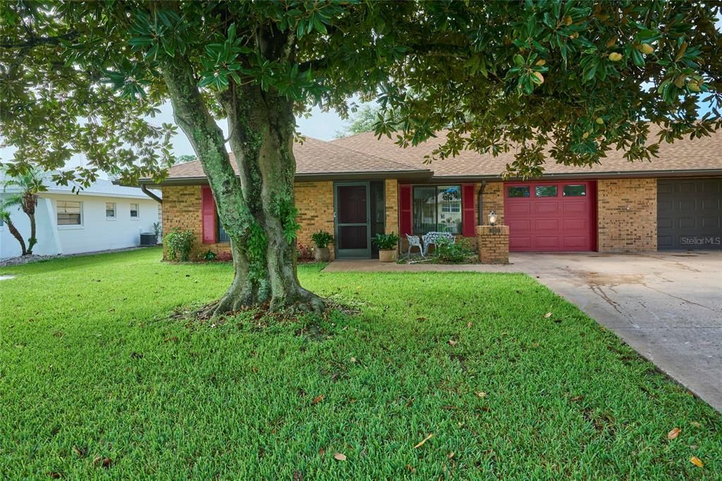 Welcoming front lawn with magnolia tree