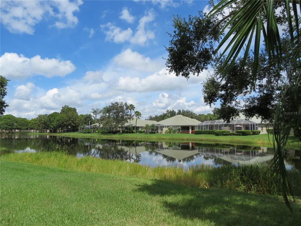 Tranquil Lake Views