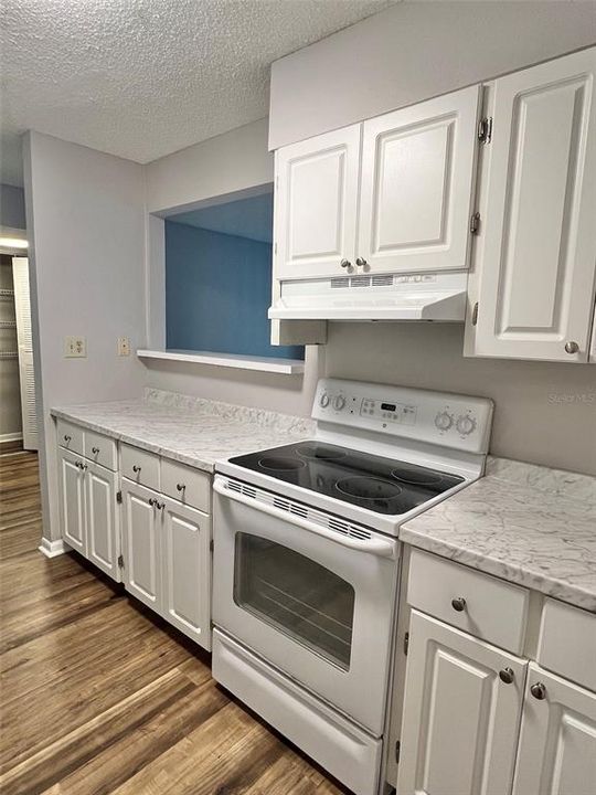 The kitchen has a lot of counter space and cabinet space!