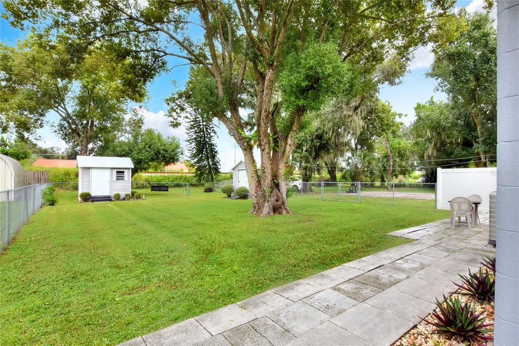 A good-sized backyard with two sheds