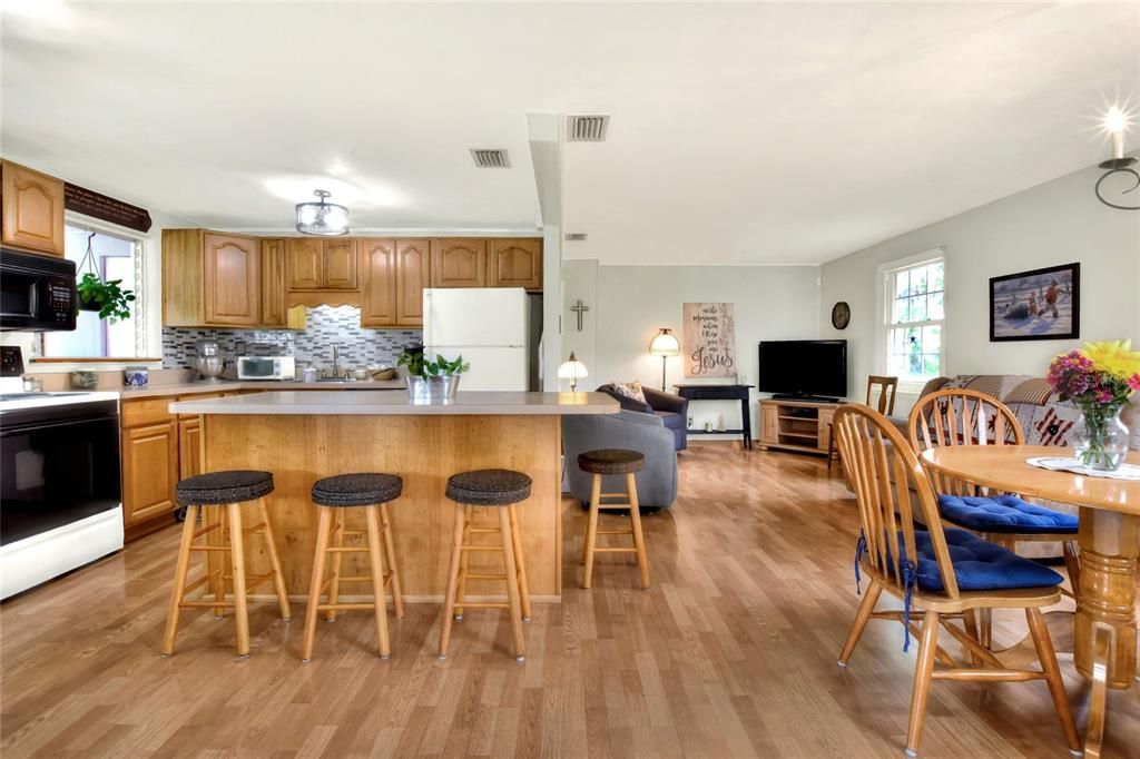 Open floor plan with the kitchen, dining, and family room combined