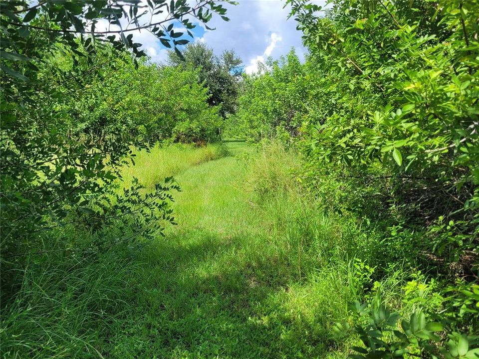 access through the center of the lot