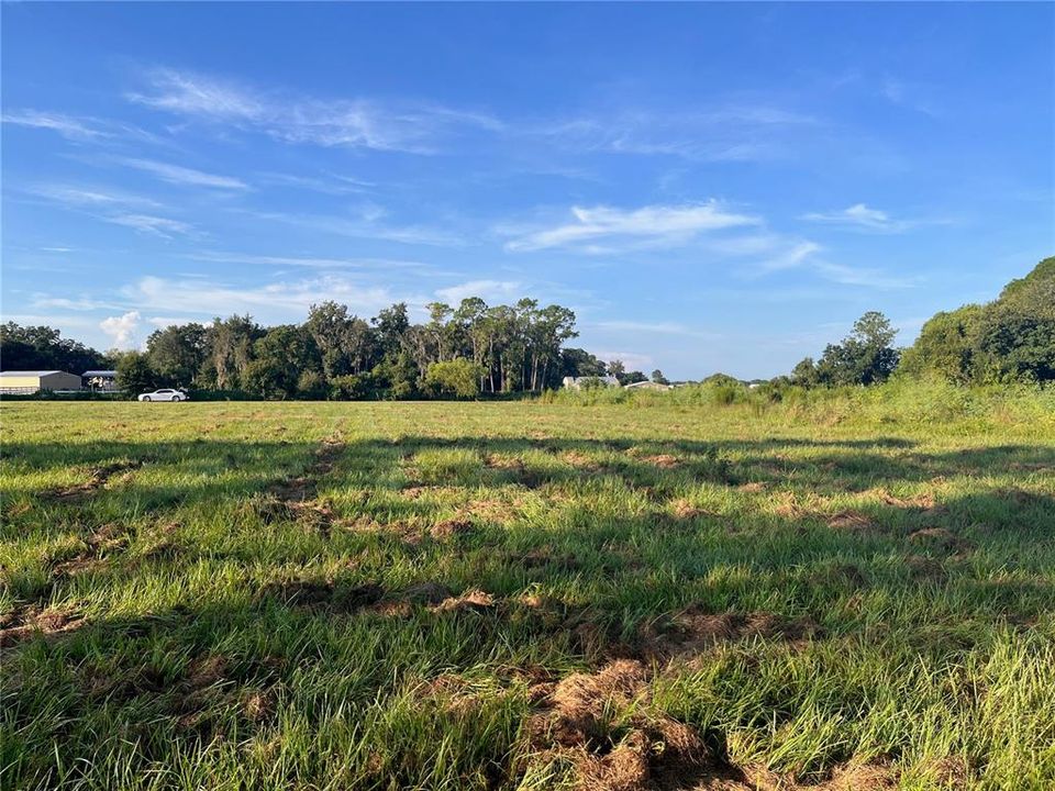 For Sale: $119,000 (1.01 acres)