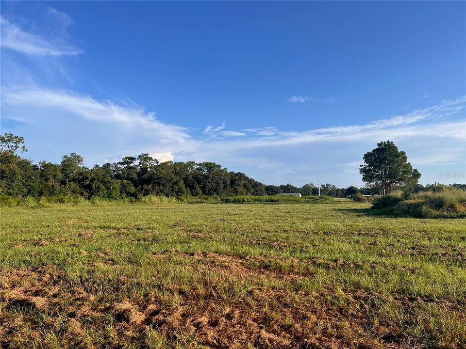 For Sale: $119,000 (1.01 acres)